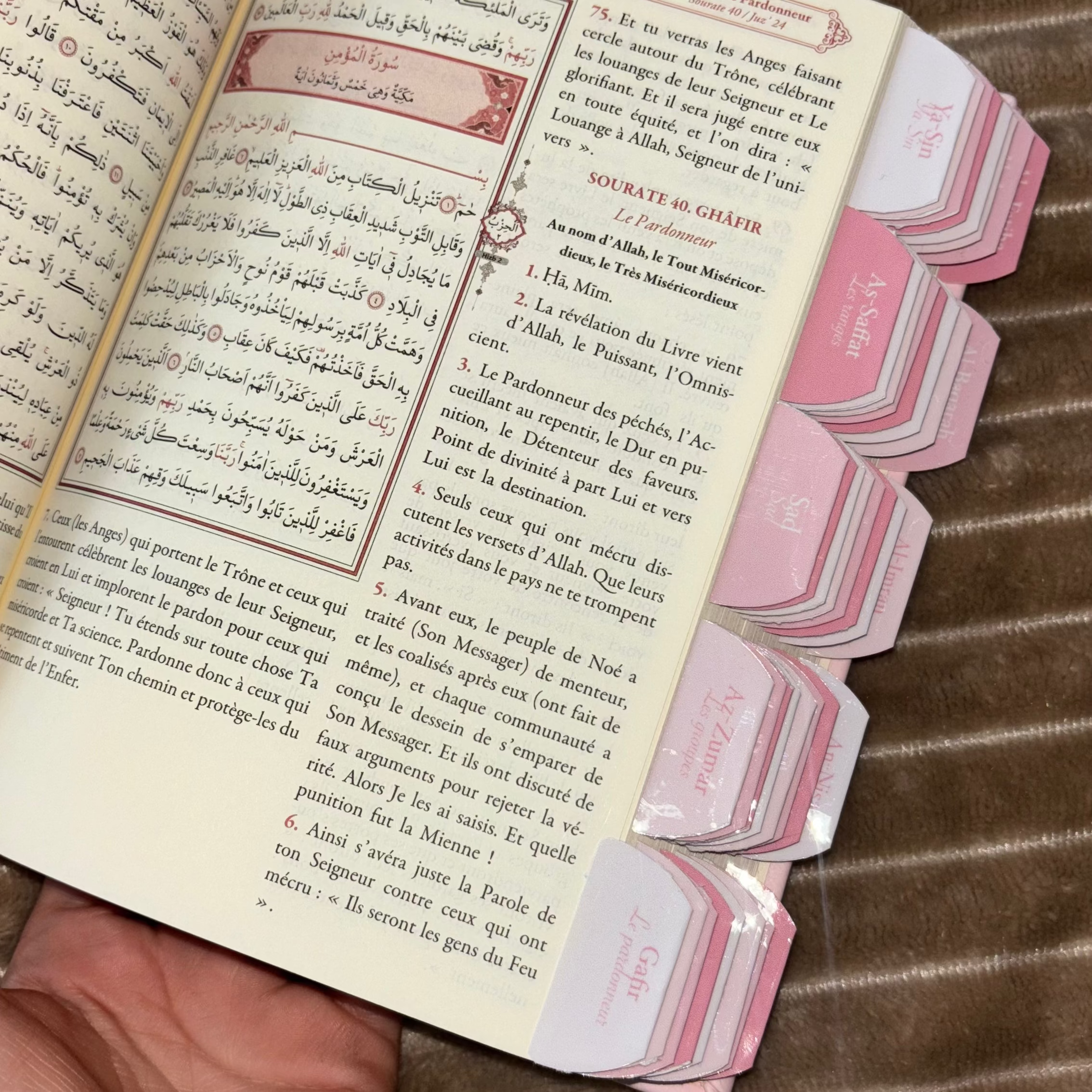 Onglets sourates Dragé (rigide) 🌸